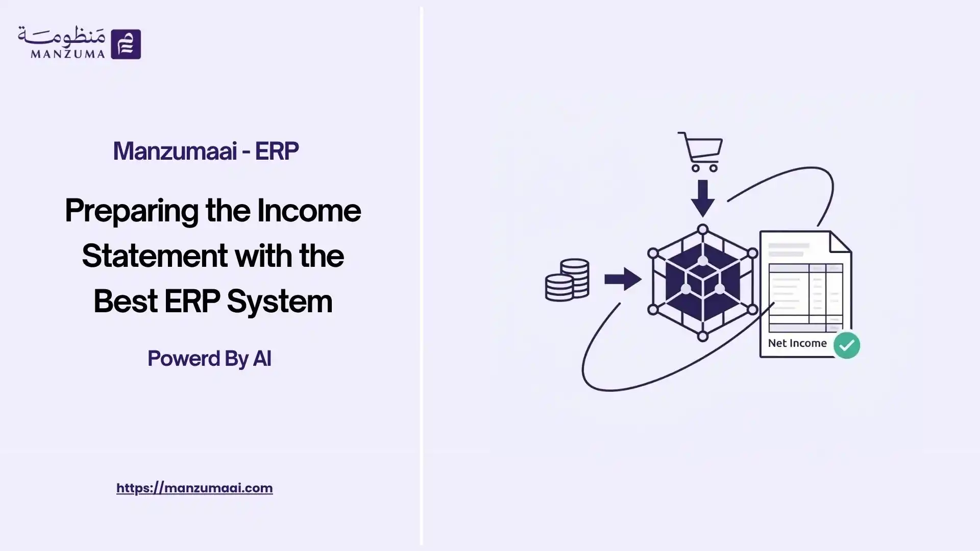 Preparing the Income Statement with the Best ERP System